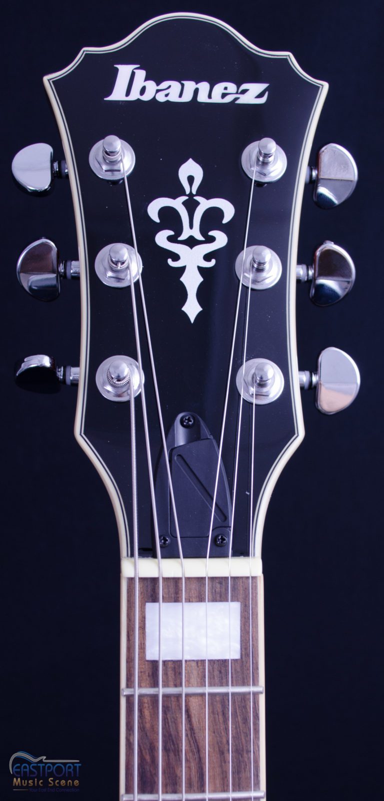 A close up of the strings on an electric guitar