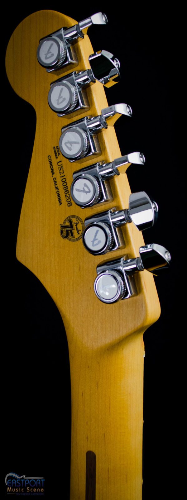 A close up of the controls on an electric guitar.